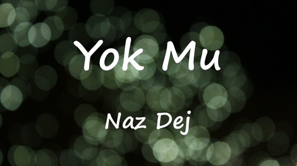 متن و ترجمه آهنگ Yok Mu از Naz Dej