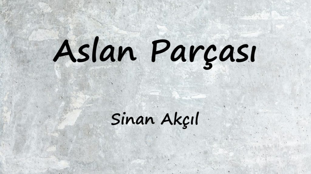 متن و ترجمه آهنگ Aslan Parçası از Sinan Akçıl