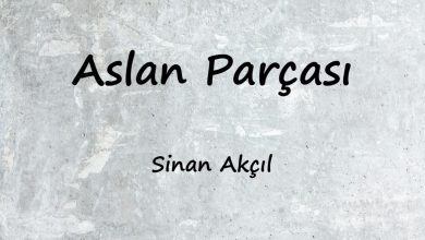 متن و ترجمه آهنگ Aslan Parçası از Sinan Akçıl