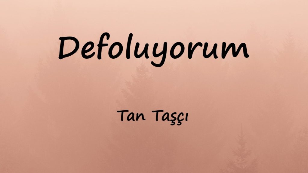 متن و ترجمه آهنگ Defoluyorum از Tan Taşçı