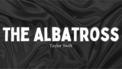 متن و ترجمه آهنگ The Albatross از Taylor Swift