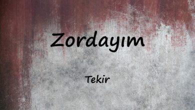 متن و ترجمه آهنگ Zordayım از Tekir