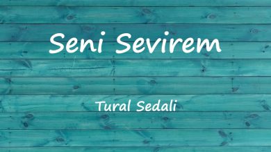 متن و ترجمه آهنگ Seni Sevirem از Tural Sedali