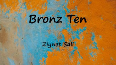 متن و ترجمه آهنگ Bronz Ten از Ziynet Sali