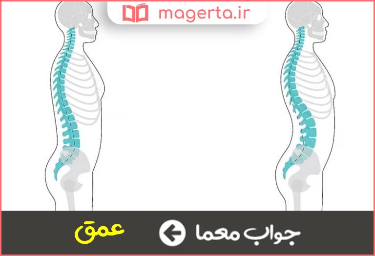 جواب معما گودی در جدول