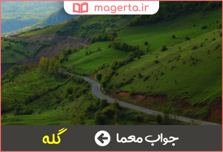 جواب معما راهی در کوهستان در جدول