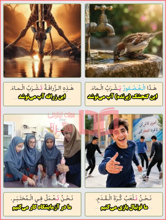 جواب و ترجمه بخش بدانیم فعل مضارع صفحه ۶۵ درس پنجم عربی هشتم