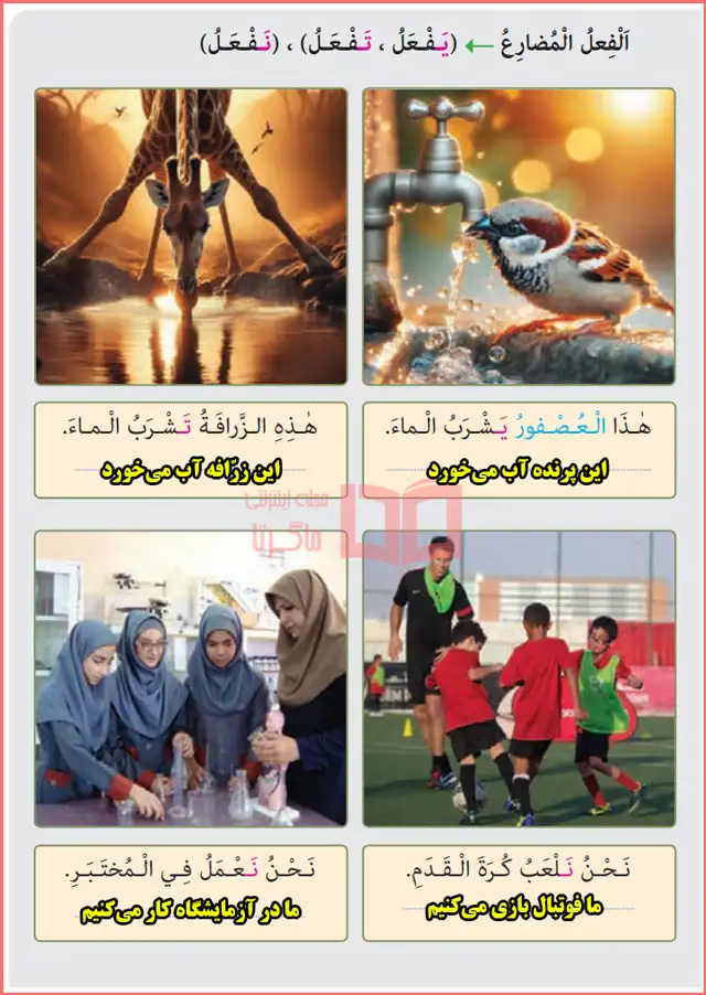 جواب و ترجمه بخش بدانیم فعل مضارع صفحه ۶۵ درس پنجم عربی هشتم