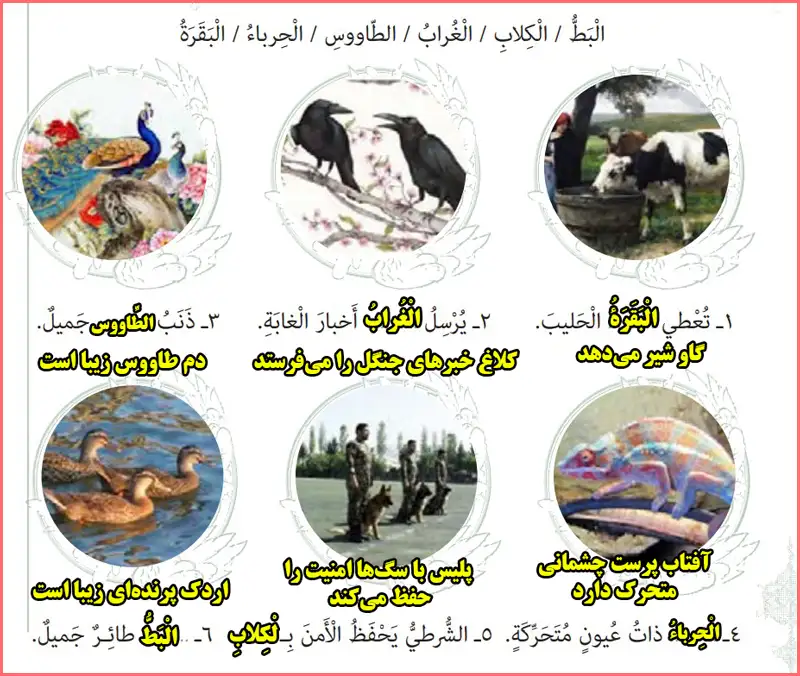 جواب تمرین صفحه ۶۲ درس ۵ عربی دهم معارف اسلامی