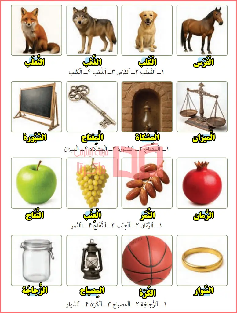 جواب تمرین در منزل (للتمرين فی المنزل) صفحه ۶۲ درس ۴ عربی یازدهم