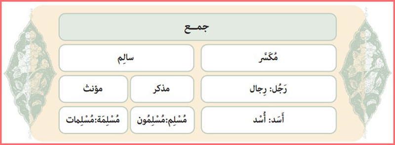 پاسخ تعریف و روش ساخت جمع صفحه ۵۰ و ۵۱ درس چهارم عربی دهم معارف اسلامی