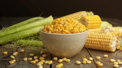 چگونه ذرت را بپزیم که سفت نشود