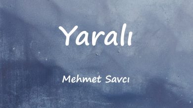 متن و ترجمه آهنگ Yaralı از Mehmet Savcı