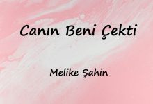 متن و ترجمه آهنگ Canın Beni Çekti از Melike Şahin