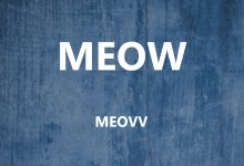 متن و ترجمه آهنگ MEOW از MEOVV