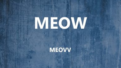 متن و ترجمه آهنگ MEOW از MEOVV