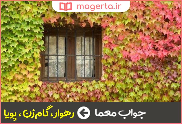 جواب معما بیرون رونده در جدول