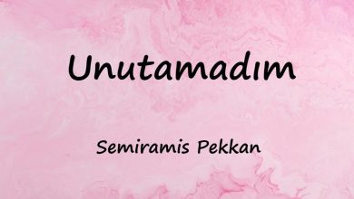 متن و ترجمه آهنگ Unutamadım از Semiramis Pekkan