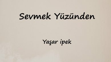 متن و ترجمه آهنگ Sevmek Yüzünden از Yaşar ipek