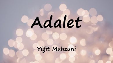 متن و ترجمه آهنگ Adalet از Yiğit Mahzuni