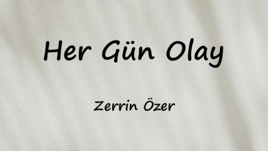 متن و ترجمه آهنگ Her Gün Olay از Zerrin Özer