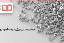 درختی هندی به بزرگی درخت گردو در جدول