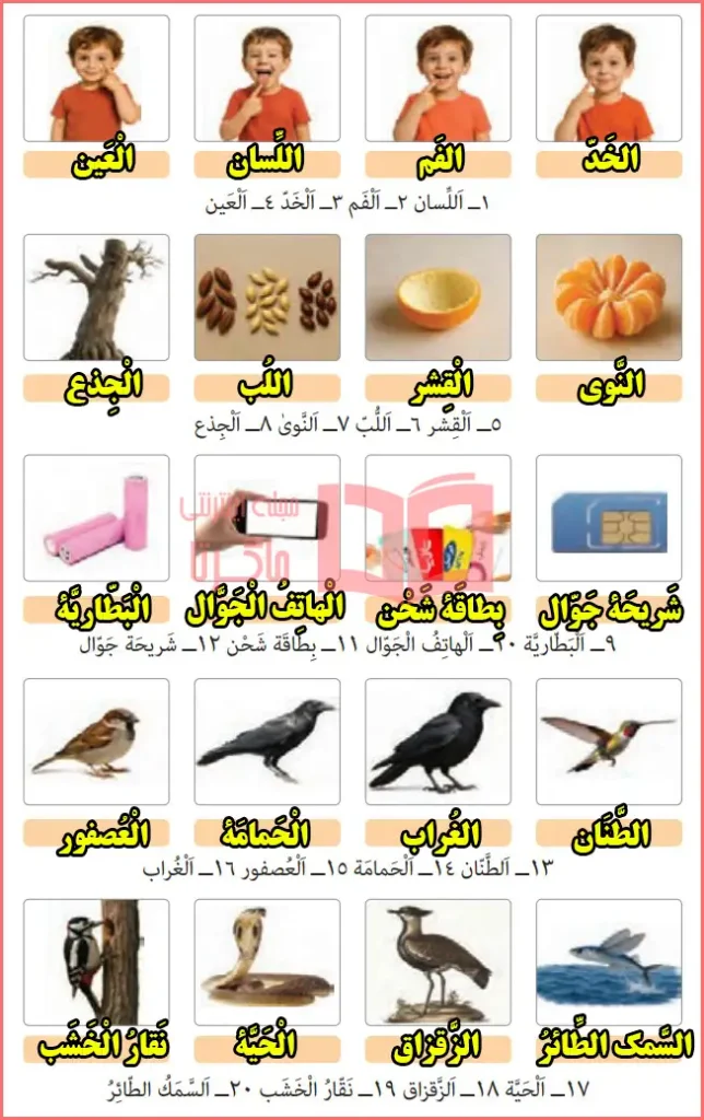 جواب تمرین در منزل صفحه ۷۴ درس پنجم عربی یازدهم انسانی