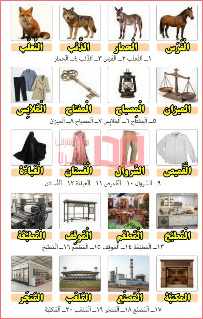 جواب تمرین در منزل (للتمرین فی المنزل) صفحه ۱۶ درس اول عربی یازدهم انسانی