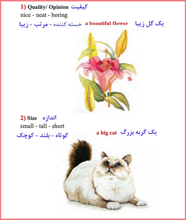 جواب و معنی صفحه ۶۲ ، ۶۳ و ۶۴ درس دوم زبان دهم