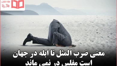 معنی ضرب المثل تا ابله در جهان است مفلس در نمی ماند