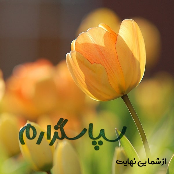 عکس نوشته زیبا برای تشکر