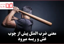 معنی ضرب المثل پیش از چوب غش و ریسه میرود