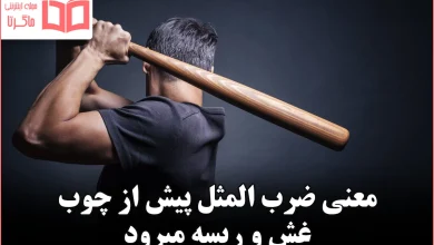 معنی ضرب المثل پیش از چوب غش و ریسه میرود