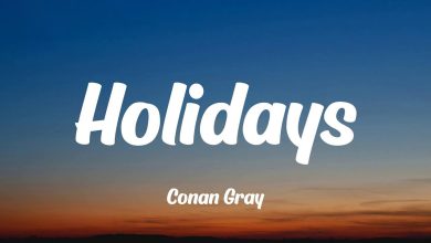 متن و ترجمه آهنگ Holidays از Conan Gray