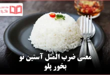 معنی ضرب المثل آستین نو بخور پلو