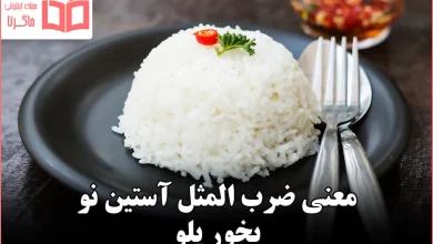 معنی ضرب المثل آستین نو بخور پلو