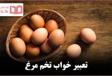 تعبیر خواب تخم مرغ