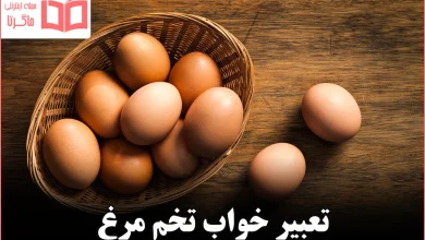 تعبیر خواب تخم مرغ