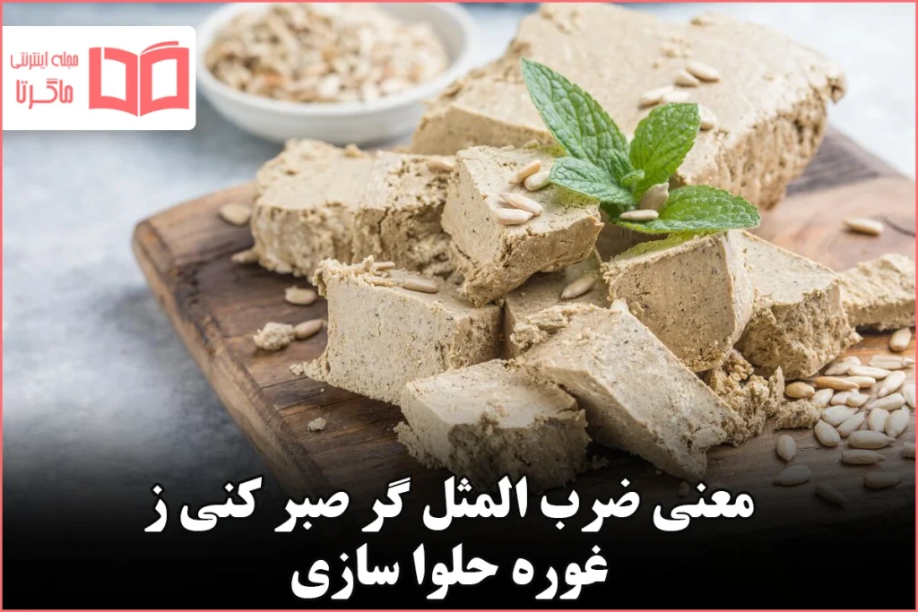 معنی ضرب المثل گر صبر کنی ز غوره حلوا سازی