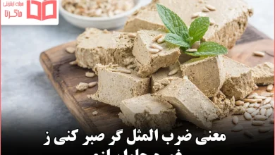 معنی ضرب المثل گر صبر کنی ز غوره حلوا سازی