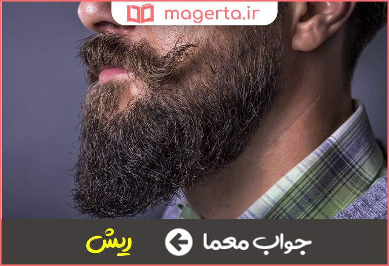 جواب معما موی صورت در جدول