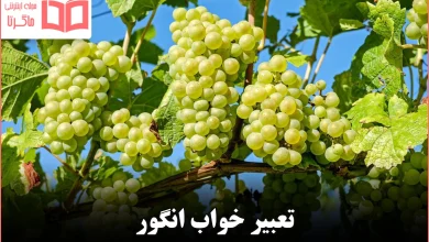 تعبیر خواب انگور