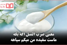 معنی ضرب المثل اگه بگه ماست سفیده من میگم سیاهه