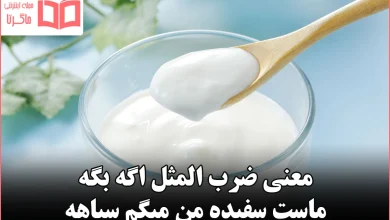 معنی ضرب المثل اگه بگه ماست سفیده من میگم سیاهه