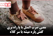 معنی ضرب المثل با پا راه بری کفش پاره میشه با سر کلاه