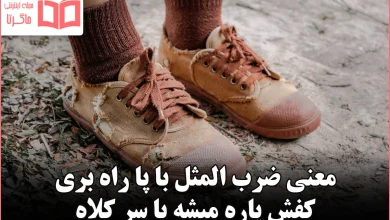 معنی ضرب المثل با پا راه بری کفش پاره میشه با سر کلاه