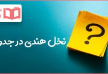 نخل هندی در جدول