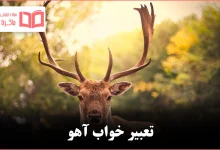 تعبیر خواب آهو