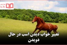 تعبیر خواب دیدن اسب در حال دویدن