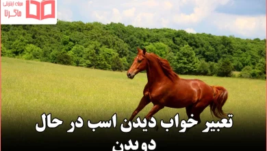 تعبیر خواب دیدن اسب در حال دویدن